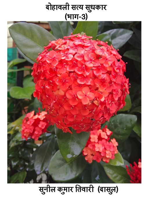 Cover image for दोहावली सत्य सुधाकर (भाग-3)
